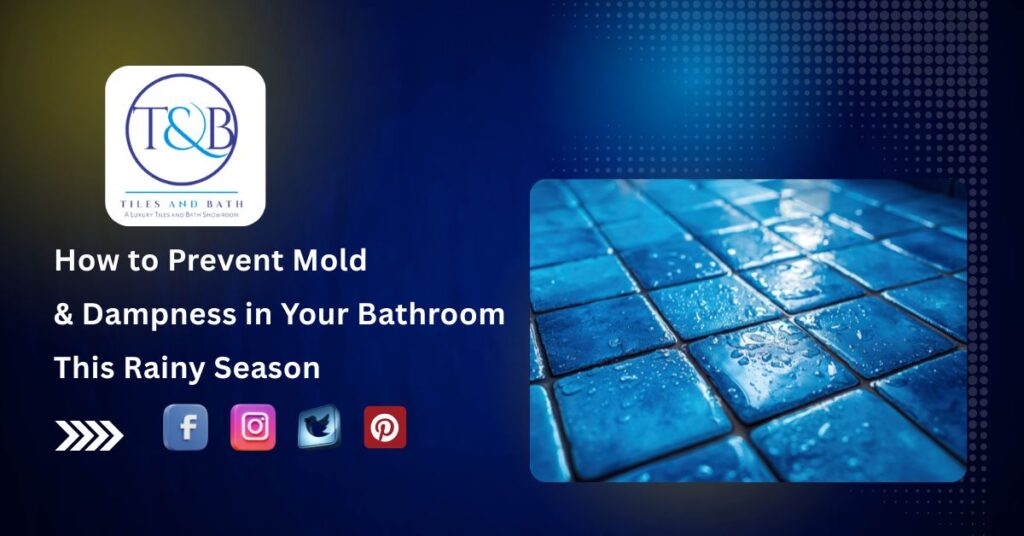 How to Prevent Mold & Dampness in Your Bathroom This Rainy Season